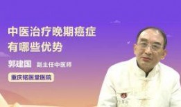 中医视频,传统养生智慧与现代健康生活